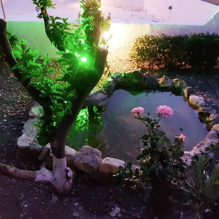 Hotel Aegean Pearl Tigaki Zewnętrze zdjęcie